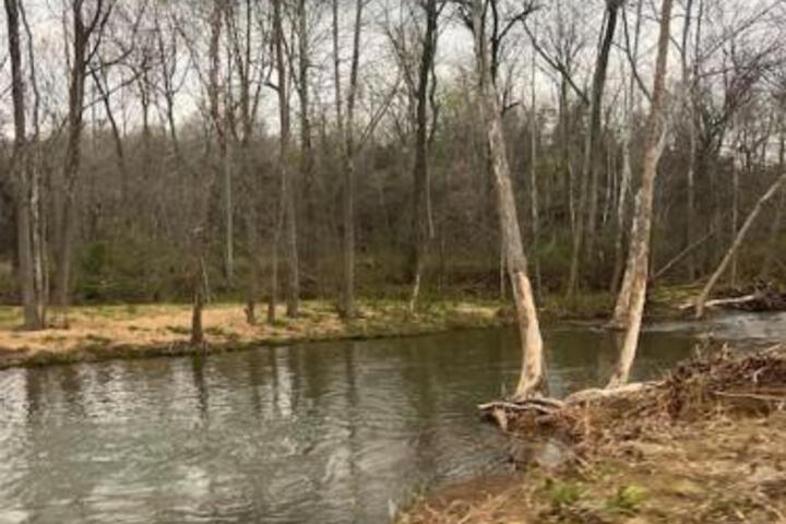 Strawberry River Ranch Cabin on 700 Acre Ranch