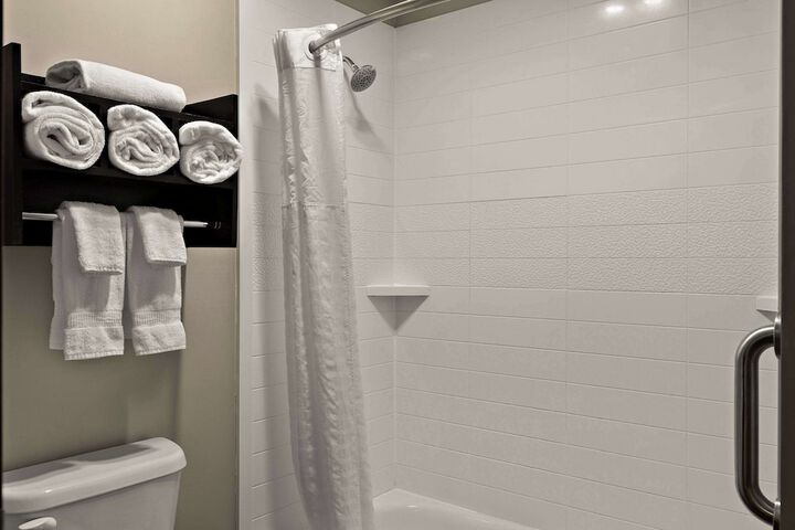 Comfort Inn & Suites Ludington near US-10