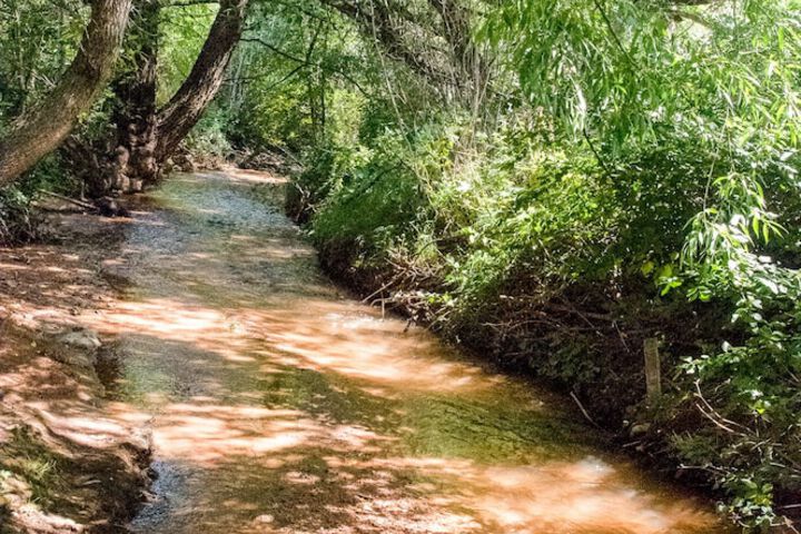 7 Bedroom on the Side of Pikes Peak on a Mountain Stream