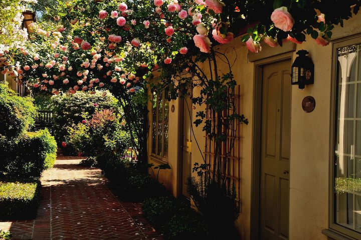 Vineyard Country Inn