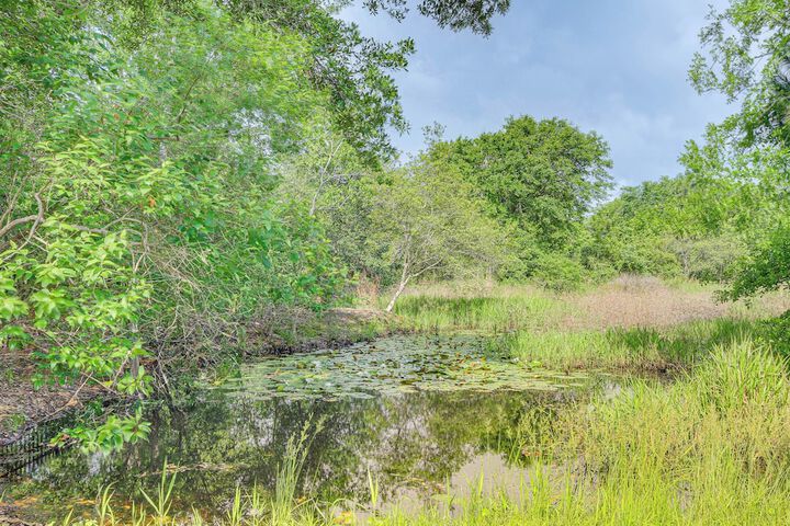 Waveland Vacation Rental - Walk to the Beach!