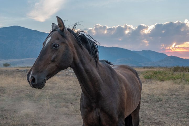 Casia Lodge and Ranch
