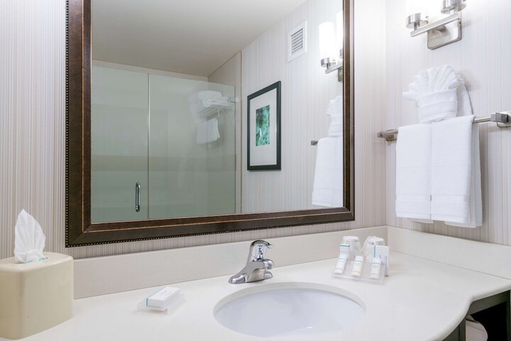 Hilton Garden Inn Valley Forge / Oaks