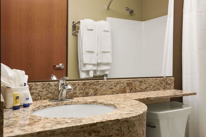 Microtel Inn & Suites by Wyndham Pleasanton