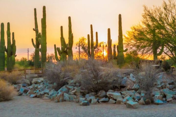 Staybridge Suites Phoenix East - Gilbert by IHG