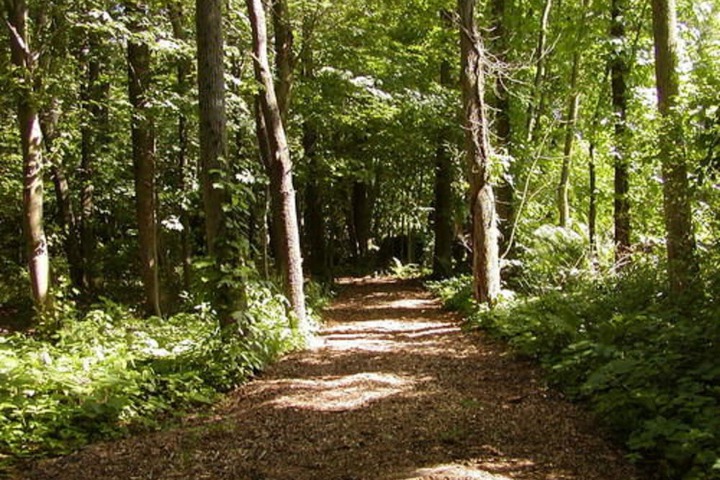 Property Grounds 18 of 22