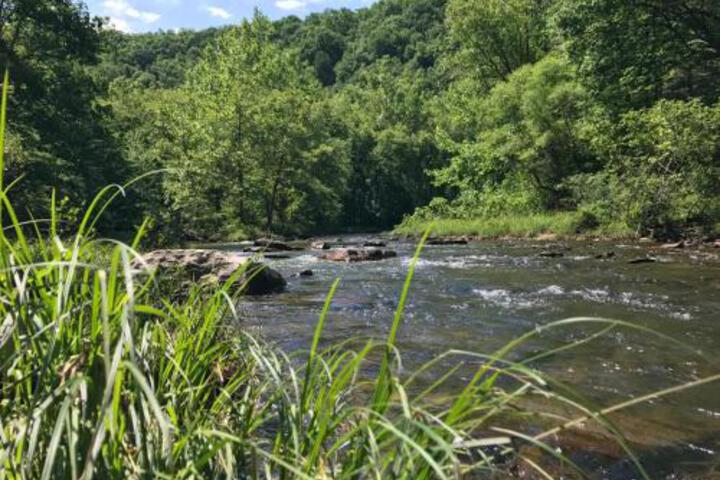 Knapps Creek Trout Lodge