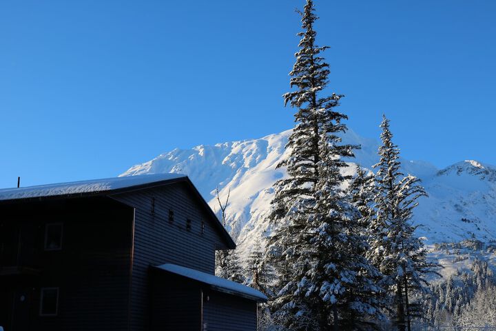 Spruce Lodge
