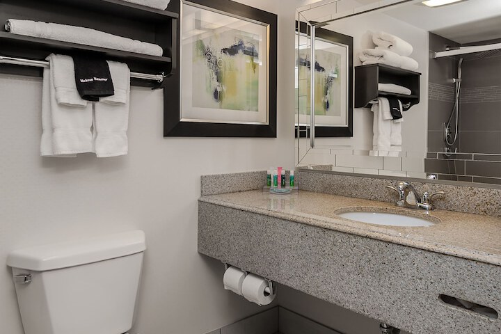 Holiday Inn & Suites Syracuse Airport - Liverpool by IHG