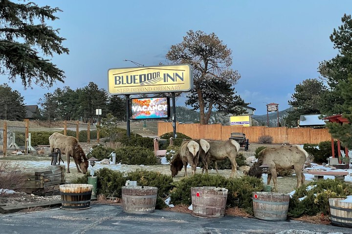 Blue Door Inn