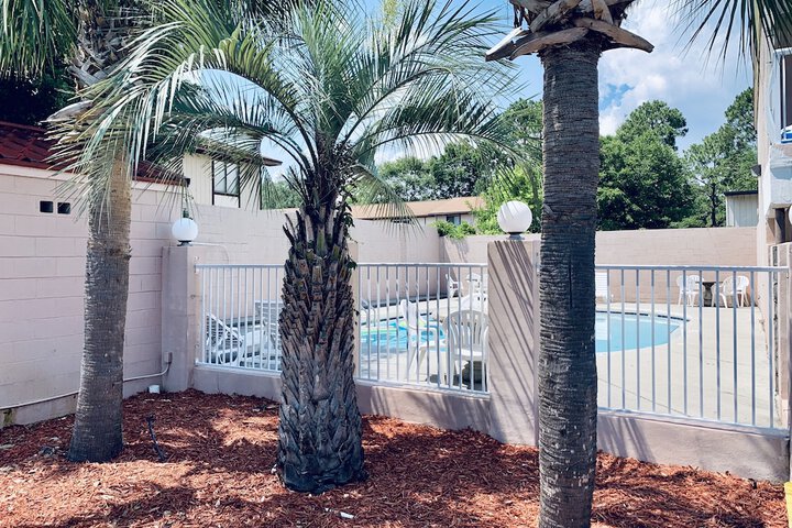 Pool 4 of 30