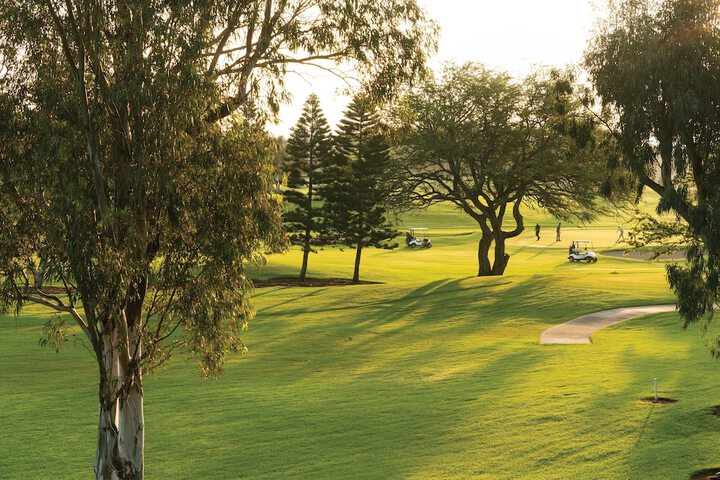 Paniolo Greens at Waikoloa
