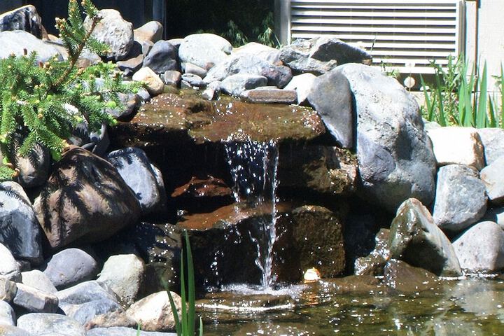 Wilderness Inn