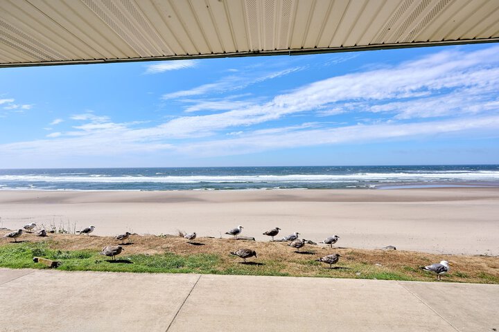 D Sands Rentals