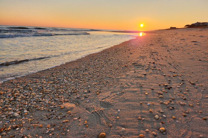 The Sagaponack