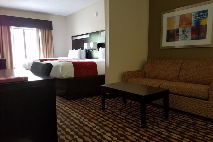 Comfort Suites Northside Hospital Gwinnett