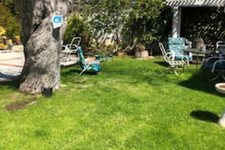 Property Grounds 41 of 44