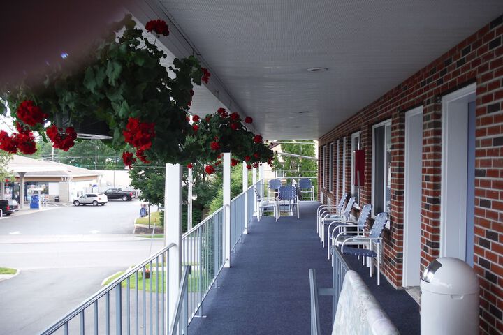 Terrace/Patio 7 of 9