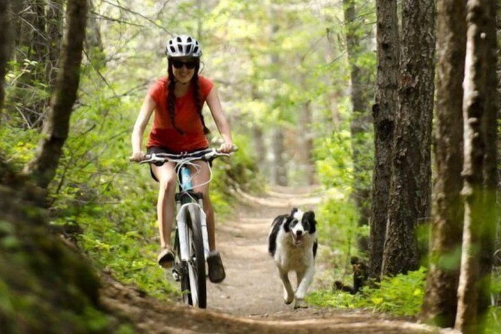 Outdoor Activities 38 of 44
