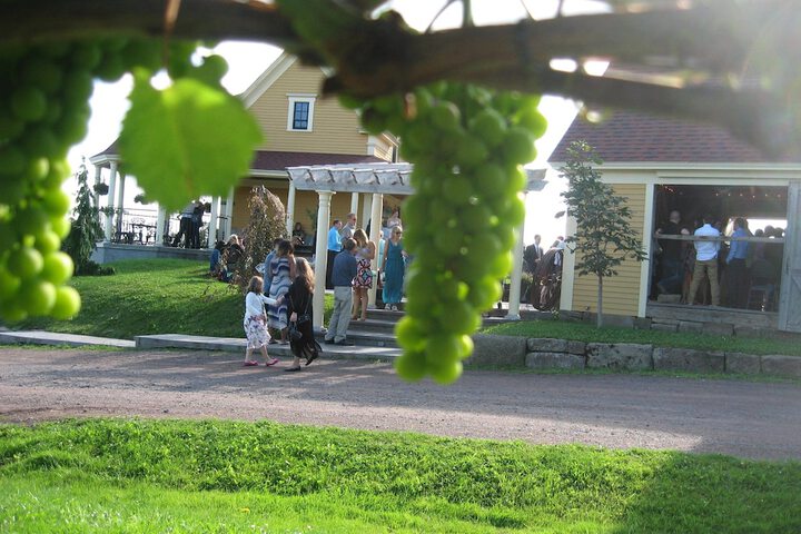 Wedding/Banquet 15 of 19
