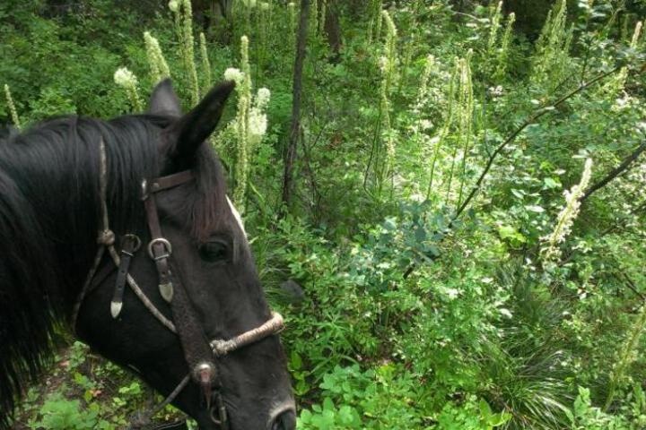 Silvertip Trailhead 2