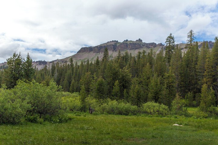 Best Western Gold Country Inn
