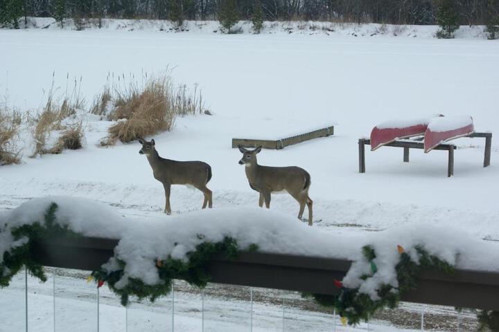 Liftlock Guest House