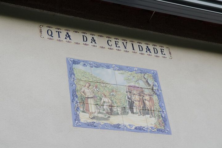 Casa da Cevidade
