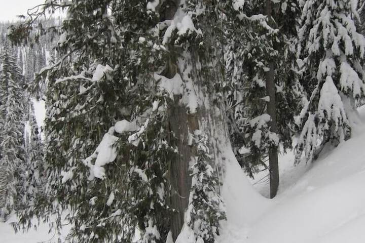Snowy Mountain Lodge