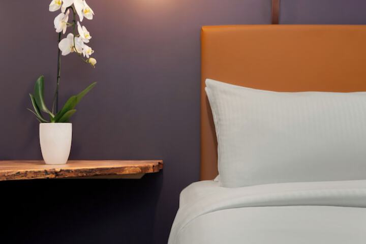 The Horton Hotel and Rooftop Lounge