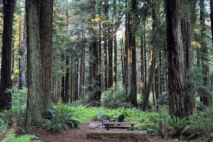Property Grounds 30 of 31