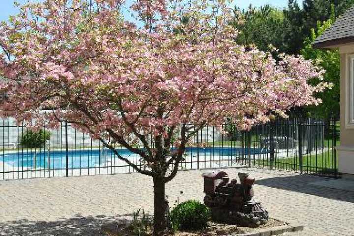 Pool 10 of 97