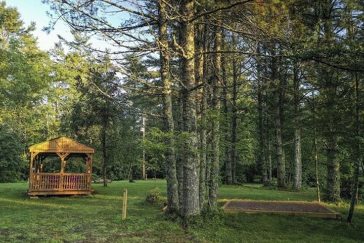 The Pineola