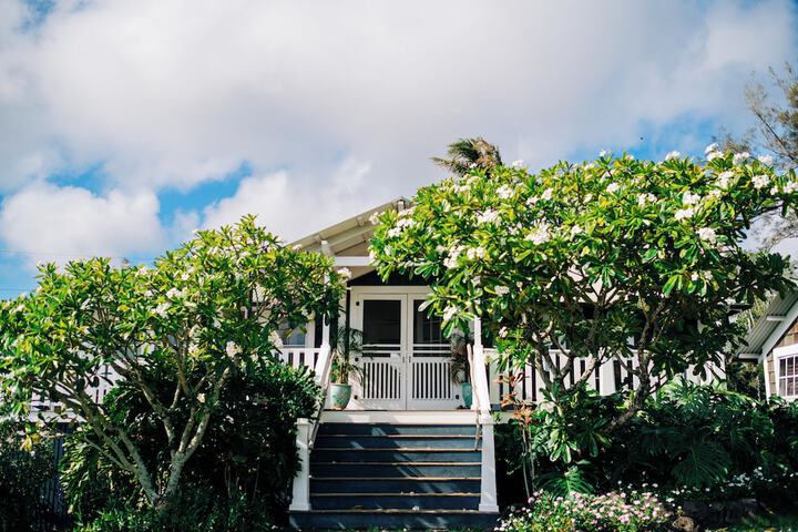 Terrace/Patio 48 of 55