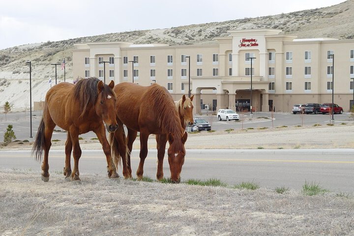 Hampton Inn & Suites Green River