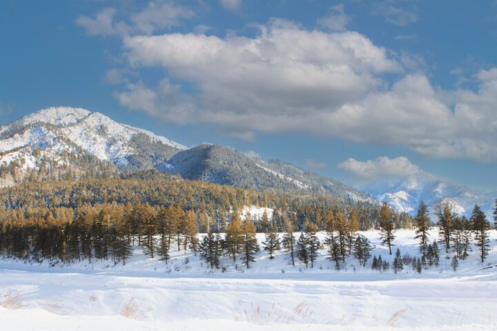 Flying Saddle Resort