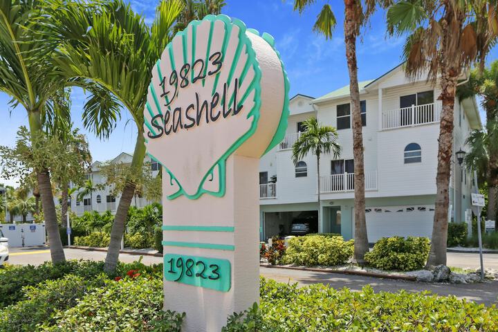 Sea Shell 14 - Premier