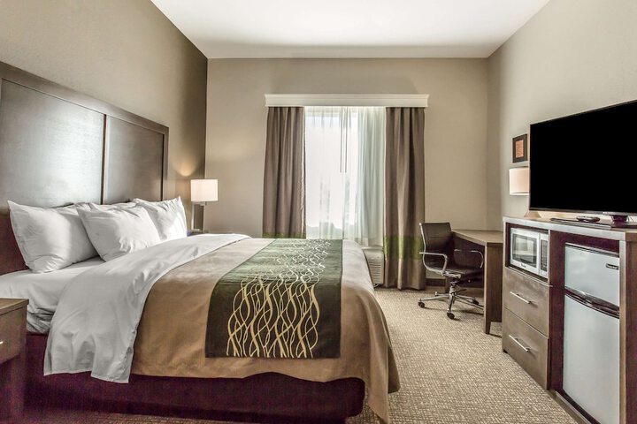Comfort Inn & Suites Snyder