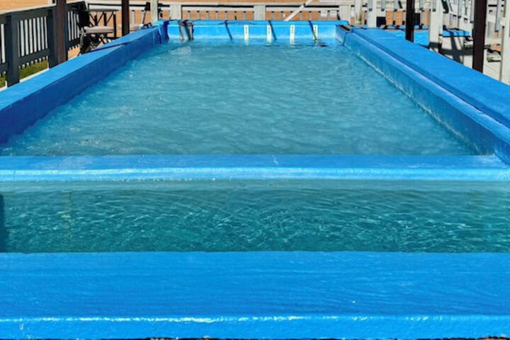 Hot Springs Hotel and Spa