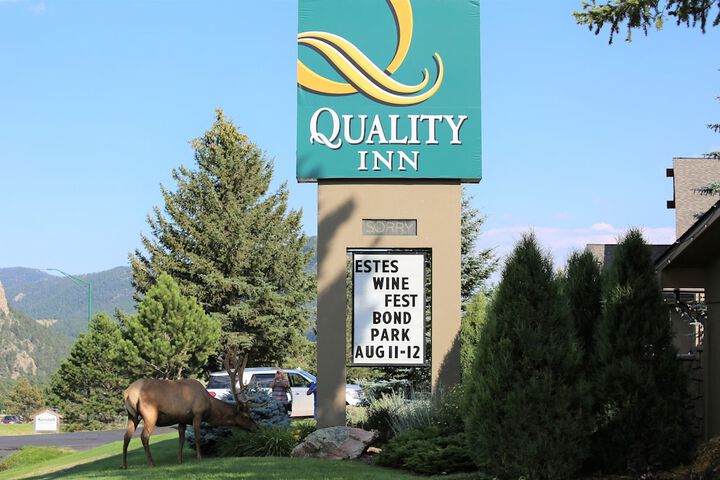 Quality Inn near Rocky Mountain National Park