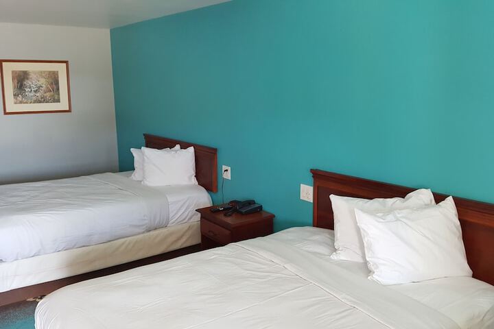 Room 9 of 11
