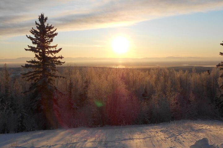 Denali Primrose B & B