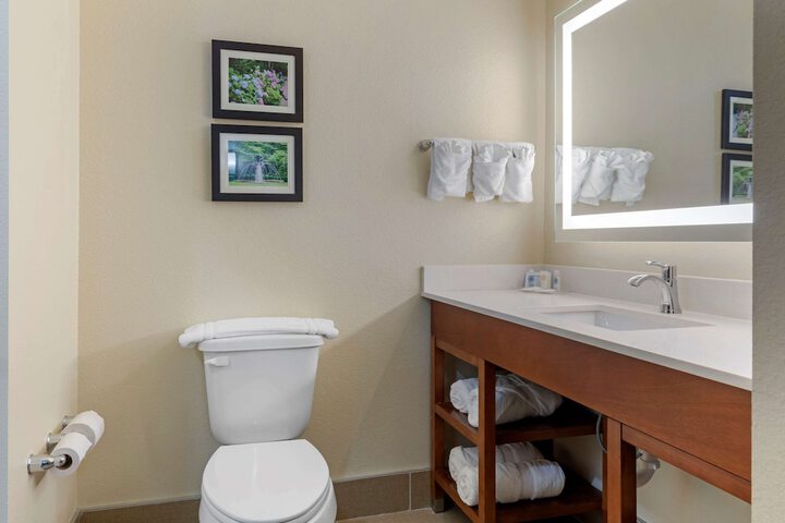 Comfort Suites West Monroe near Ike Hamilton Expo Center