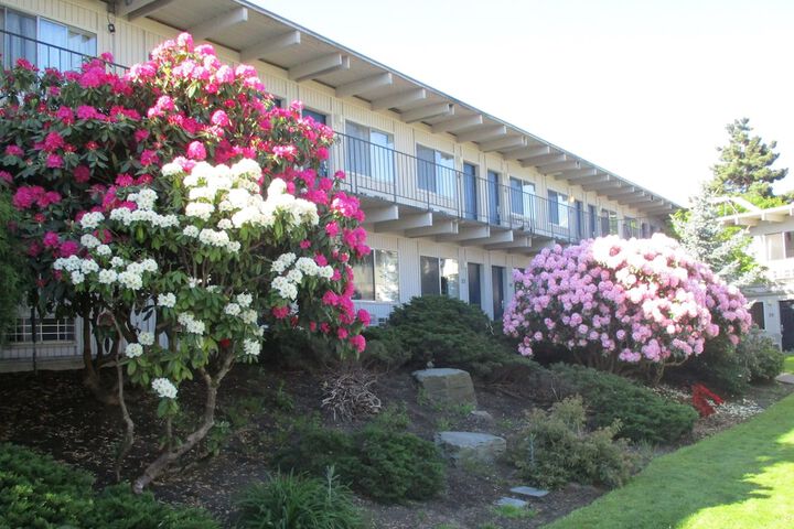 Hotel Exterior 121 of 128