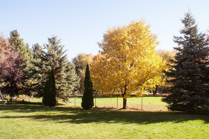 Property Grounds 20 of 23