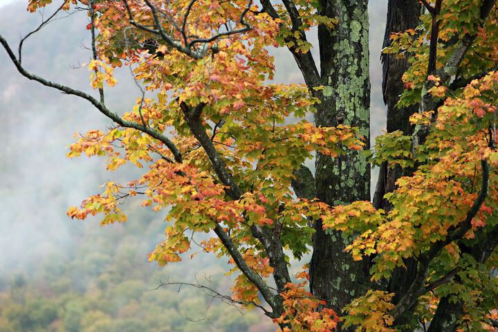 The Trailside Inn