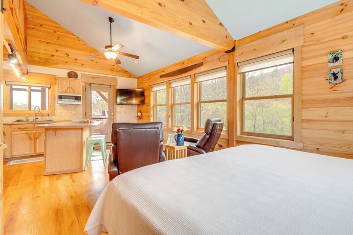 Sawyers Cabin w / Hot Tub in Blue Ridge Mtns!