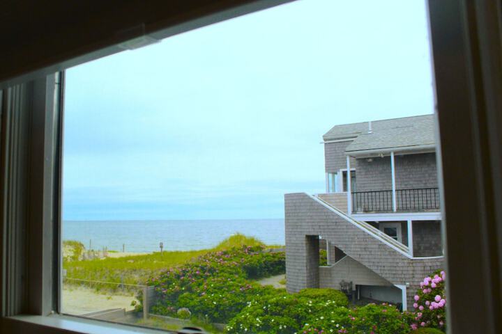 Beach 169 of 230