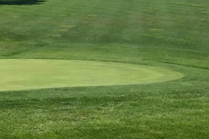 Golf 43 of 48