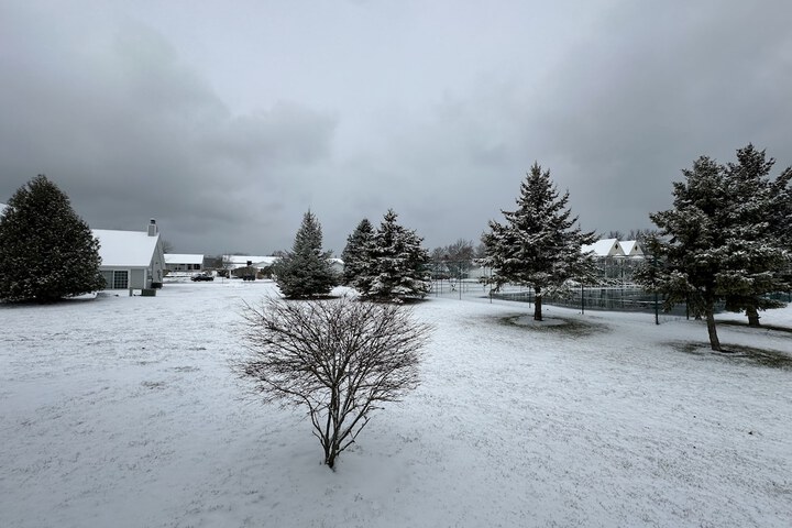 Birchwood Lodge